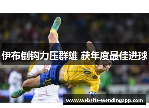 伊布倒钩力压群雄 获年度最佳进球