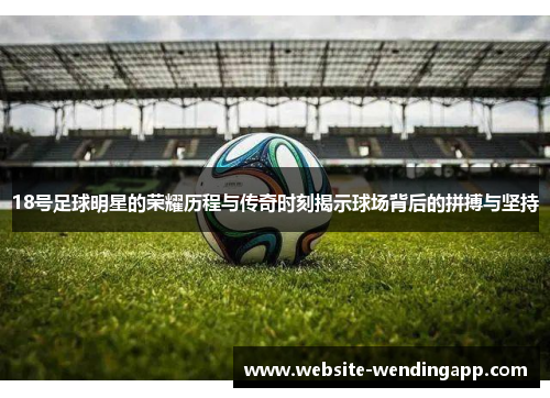 18号足球明星的荣耀历程与传奇时刻揭示球场背后的拼搏与坚持