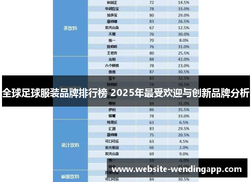 全球足球服装品牌排行榜 2025年最受欢迎与创新品牌分析