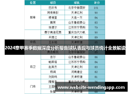 2024意甲赛季数据深度分析报告球队表现与球员统计全景解读