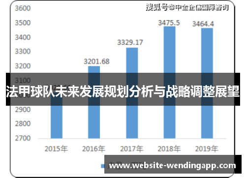 法甲球队未来发展规划分析与战略调整展望