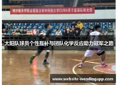 太阳队球员个性互补与团队化学反应助力冠军之路
