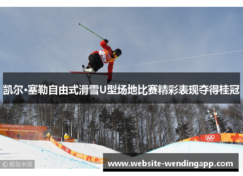凯尔·塞勒自由式滑雪U型场地比赛精彩表现夺得桂冠
