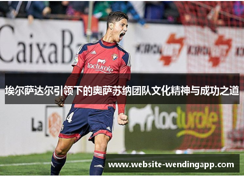 埃尔萨达尔引领下的奥萨苏纳团队文化精神与成功之道