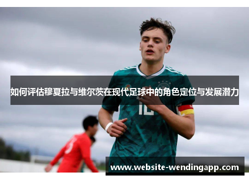 如何评估穆夏拉与维尔茨在现代足球中的角色定位与发展潜力