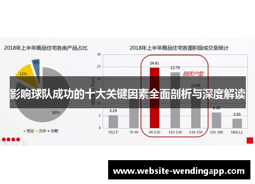 影响球队成功的十大关键因素全面剖析与深度解读