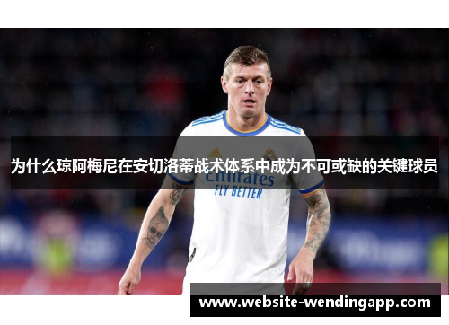 为什么琼阿梅尼在安切洛蒂战术体系中成为不可或缺的关键球员