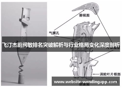 飞汀杰蔚阀敏排名突破解析与行业格局变化深度剖析