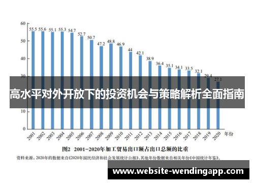 高水平对外开放下的投资机会与策略解析全面指南