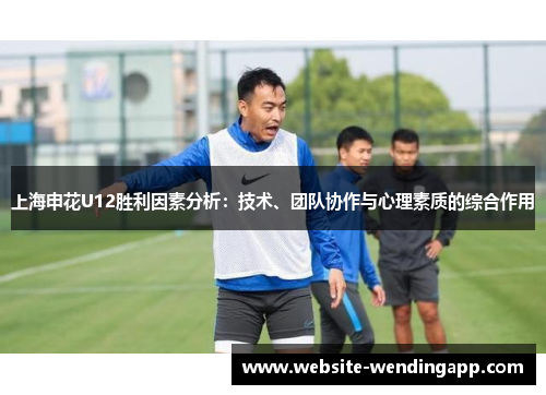 上海申花U12胜利因素分析：技术、团队协作与心理素质的综合作用