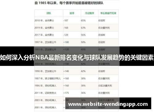 如何深入分析NBA最新排名变化与球队发展趋势的关键因素