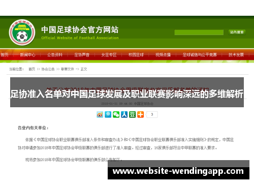 足协准入名单对中国足球发展及职业联赛影响深远的多维解析