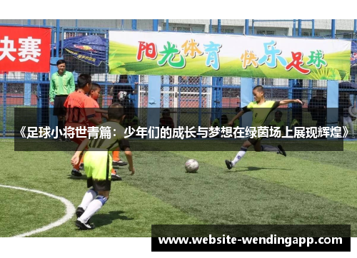 《足球小将世青篇：少年们的成长与梦想在绿茵场上展现辉煌》